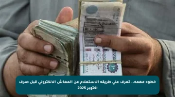 خطوة مهمة.. تعرف على طريقة الاستعلام عن المعاش الإلكتروني قبل صرف أكتوبر 2025